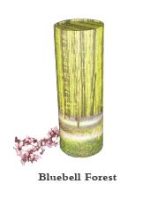 Bluebell Forest Scatter Tube